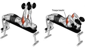 tập gym khi thoát vị đĩa đệm