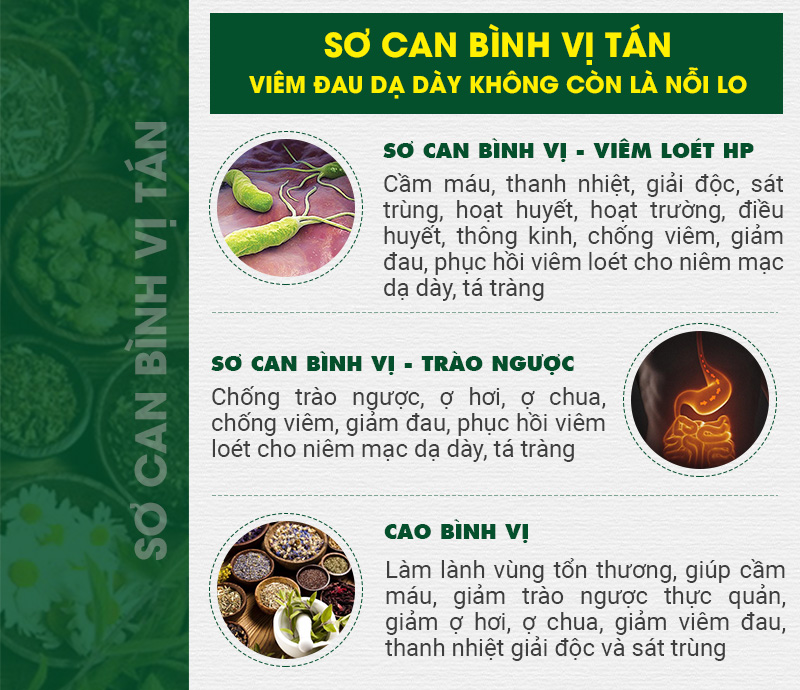 Bài thuốc chữa đau dạ dày của Trung tâm Thuốc dân tộc