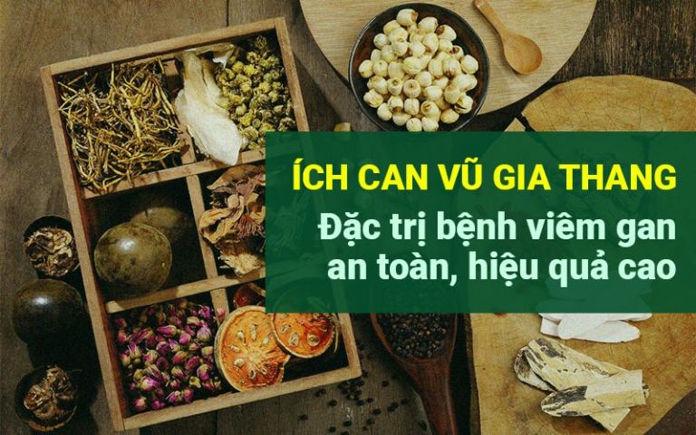 Ích can Vũ gia thang bài thuốc chiết xuất thảo dược điều trị viêm gan B hiệu quả