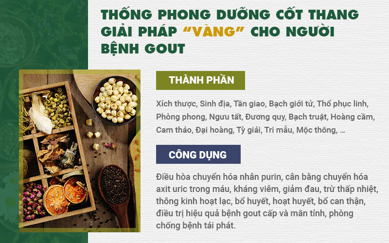 Thống phong dưỡng cốt thang chữa bệnh gout hiệu quả