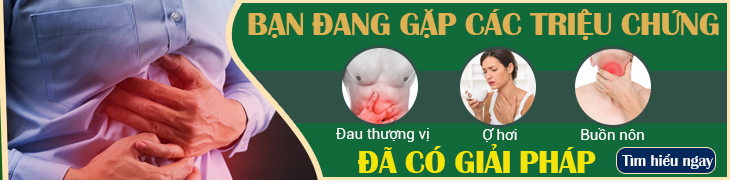 thuốc dân tộc chữa đau dạ dày