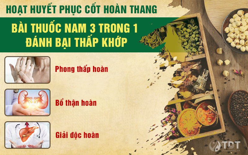 Hoạt huyết phục cốt hoàn thang chữa bệnh thấp khớp