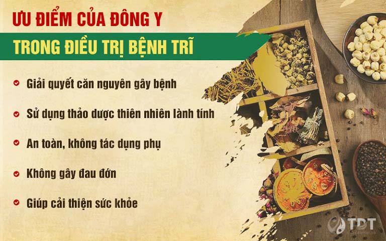 thuốc đông y chữa bệnh trĩ nội độ 2