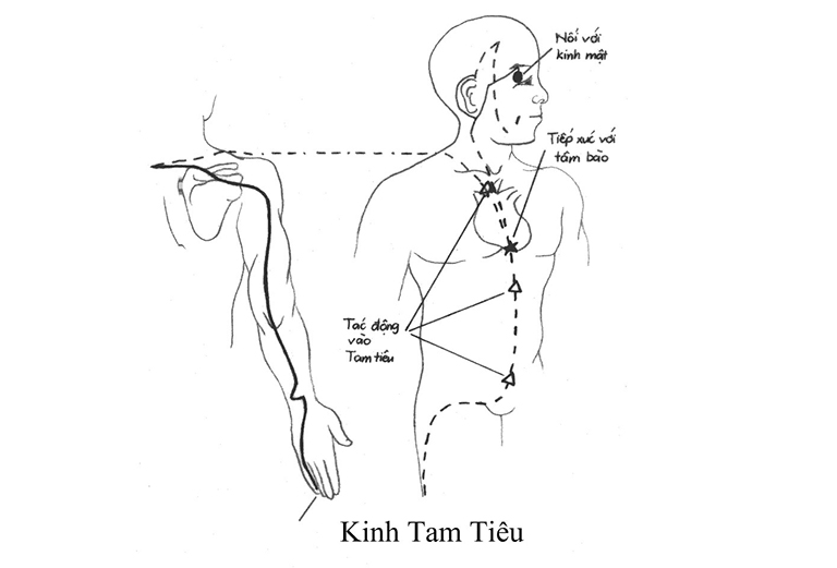 bị đầy bụng bấm huyệt nào