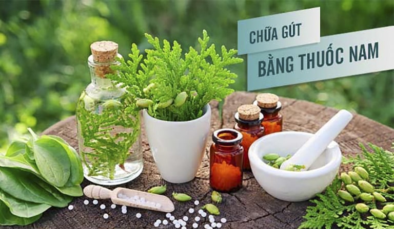 Chữa bệnh gút bằng các loại cây thuốc Nam