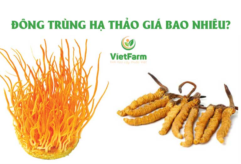 Giá trùng thảo tùy thuộc vào nhiều yếu tố