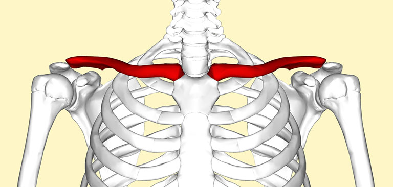 giải phẫu chức năng khớp vai