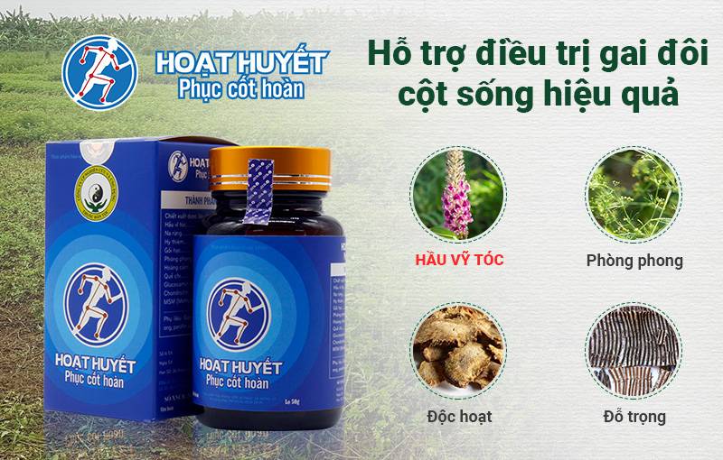 Hoạt huyết phục cốt hoàn thế hệ mới điều trị gai đôi cột sống hiệu quả