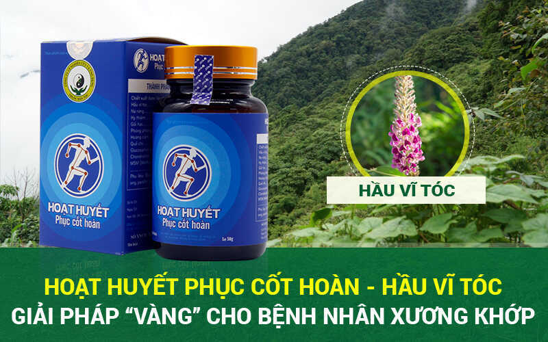 hoạt huyết phục cốt hoàn hỗ trợ điều trị phồng lồi đĩa đệm