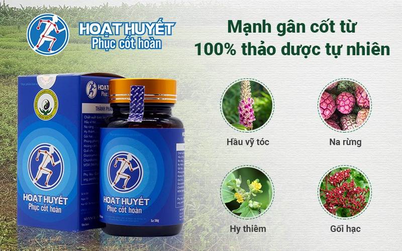 Hoạt huyết Phục cốt hoàn chữa viêm đau khớp vai