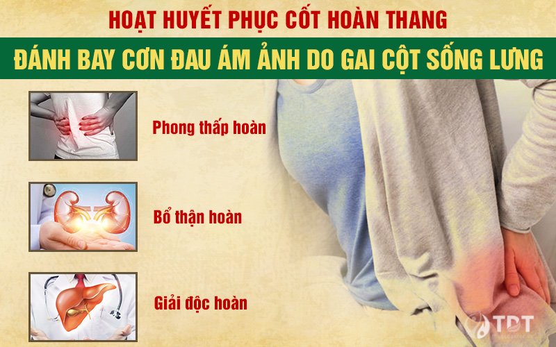 Bài thuốc nam hoạt huyết phục cốt hoàn thang chữa gai cột sống lưng