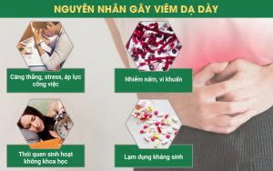 nguyên nhân viêm dạ dày