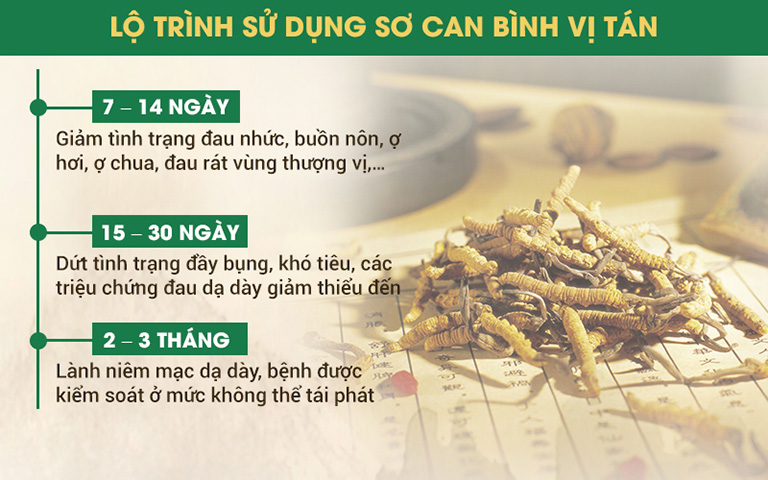 Lộ trình sử dụng Sơ can bình vị tán chữa bệnh dạ dày