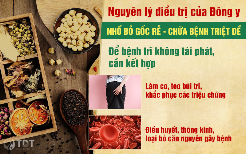 Nguyên lý của Đông y trong điều trị bệnh trĩ