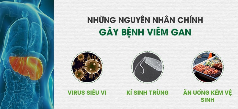 nguyên nhân gây bệnh viêm gan