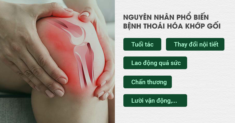 nguyên nhân gây thoái hóa khớp gối