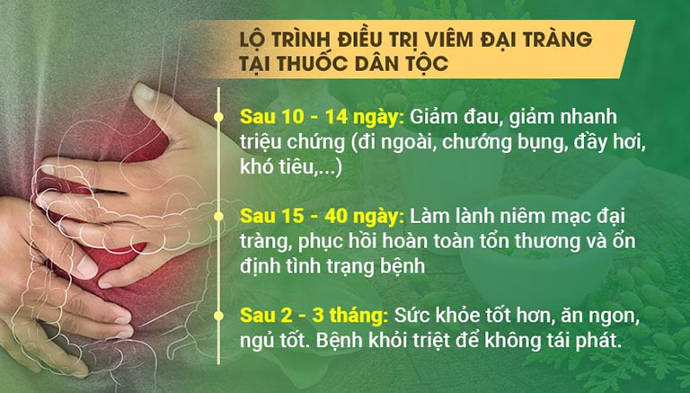 Lộ trình tác động điều trị viêm đại tràng của Tiêu thực Phục tràng hoàn