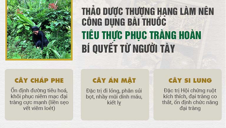 Thành phần thảo dược có trong bài thuốc Tiêu thực Phục tràng hoàn