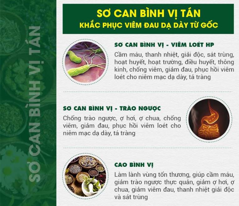 Công dụng của 3 chế phẩm Sơ can Bình vị tán