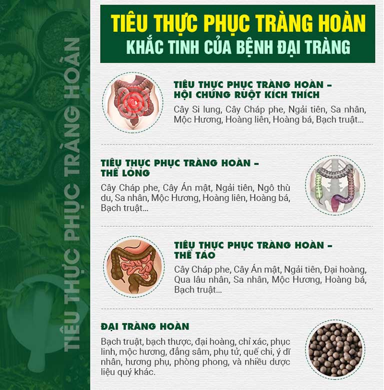 Thành phần chính trong từng chế phẩm của Tiêu thực Phục tràng hoàn