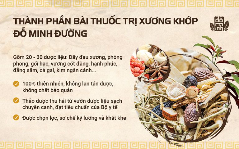 Thành phần bài thuốc Xương khớp Đỗ Minh