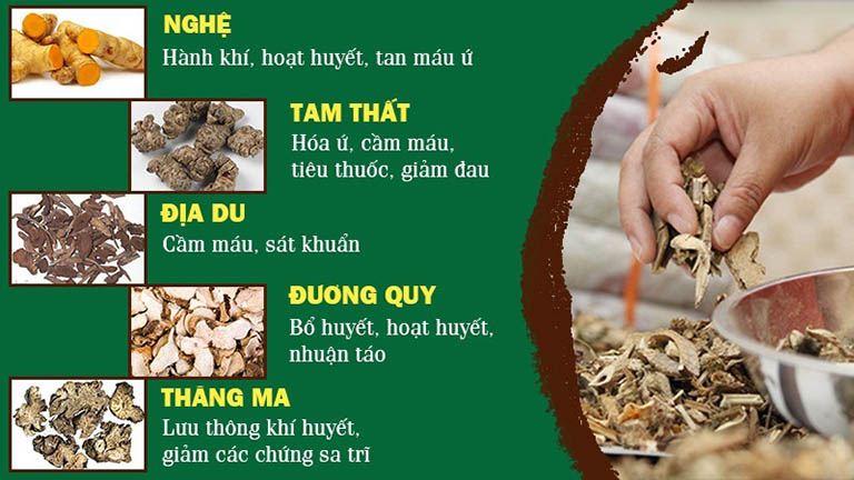 Thành phần chính trong bài thuốc Thăng trĩ Dưỡng huyết thang