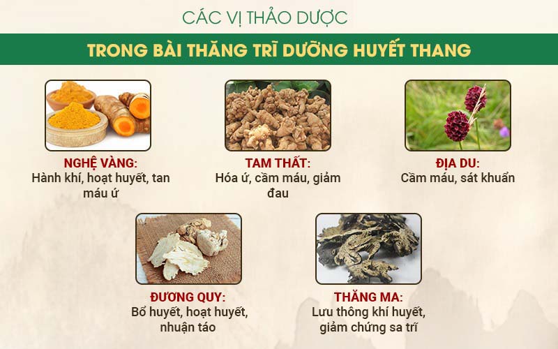 Thành phần bài thuốc Thăng trĩ Dưỡng huyết thang chữa bệnh trĩ tại Thuốc dân tộc