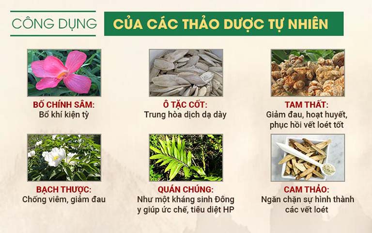 Một vài thảo dược thường dùng trong đơn thuốc điều trị dạ dày