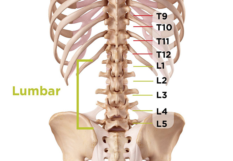 thoái hóa cột sống thắt lưng l4 l5