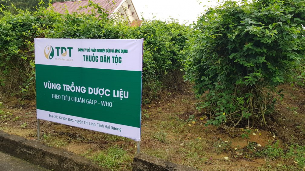 Vườn dược liệu tiêu chuẩn GACP-WHO