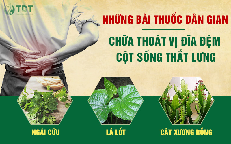 Mẹo dân gian trị thoát vị đĩa đệm cột sống lưng