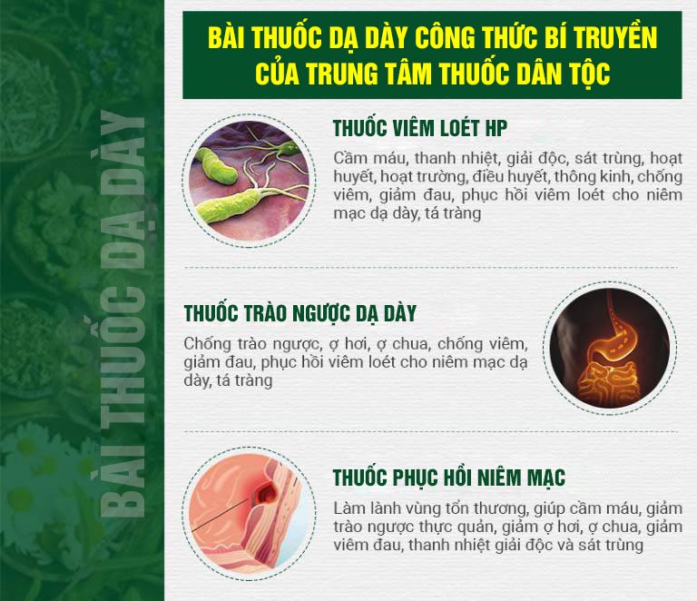 Công dụng chi tiết của từng chế phẩm trong bài thuốc dạ dày Trung tâm Thuốc dân tộc