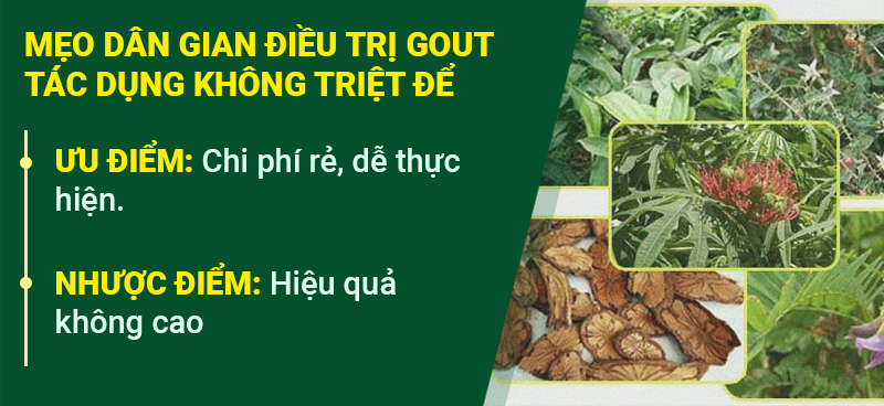 Mẹo dân gian trị gout