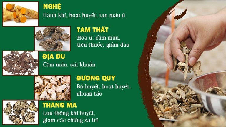 Những vị thảo dược tự nhiên có công dụng điều trị bệnh trĩ dứt điểm