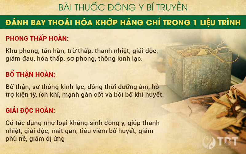 Thuốc đông y chữa thoái hóa khớp háng