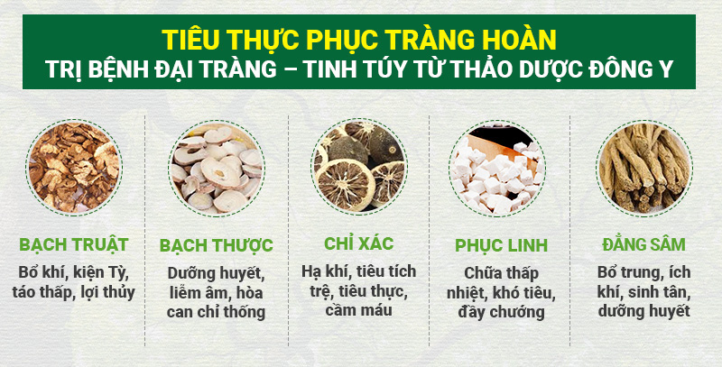 Những vị thuốc nổi bật trong các đơn thuốc cổ phương từ xưa