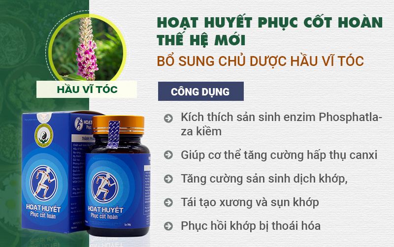 Hoạt huyết phục cốt hoàn thế hệ mới - Bổ sung chủ dược Hầu vĩ tóc