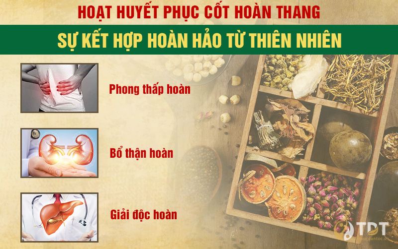 Hoạt huyết phục cốt hoàn - Sự kết hợp hoàn hảo từ thiên nhiên