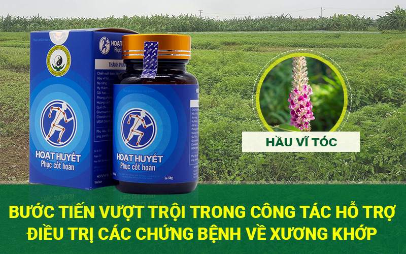 Hoạt huyết phục cốt hoàn thế hệ mới - Bổ sung chủ dược Hầu vĩ tóc