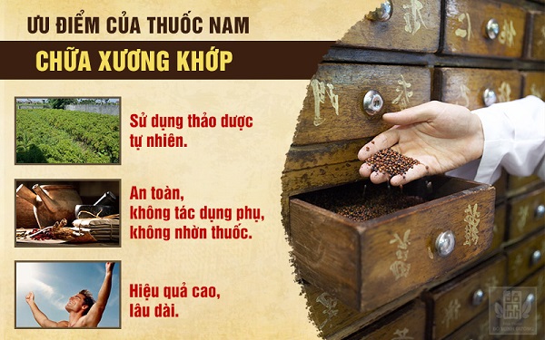 Ưu điểm của bài thuốc nam chữa thoái hóa xương khớp dòng họ Đỗ Minh