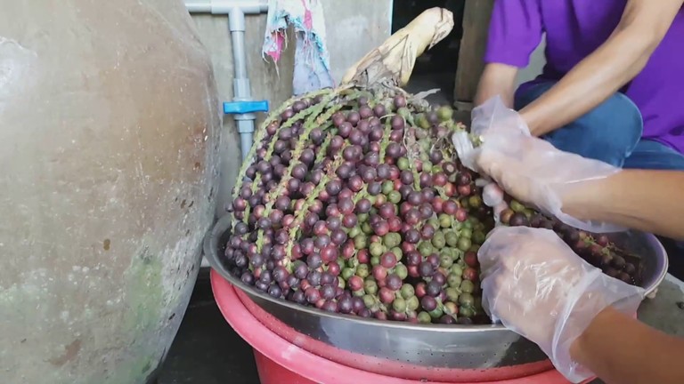 Đừng chạm vào quả móc mà không có dụng cụ bảo vệ bởi nó có thể gây ngứa, thậm chí bỏng da