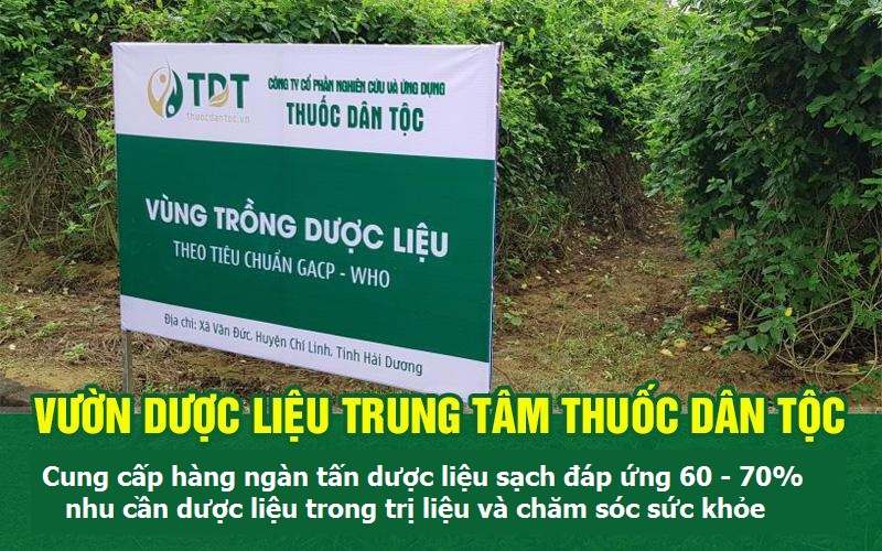 Vườn dược liệu chuẩn GACP - WHO của Trung tâm Thuốc dân tộc tại Hải Dương