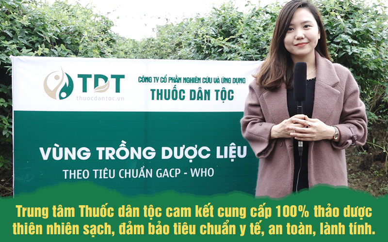 Vườn dược liệu của Trung tâm Thuốc dân tộc - Yếu tố làm nên chất lượng bài thuốc Thăng trĩ Dưỡng huyết thang