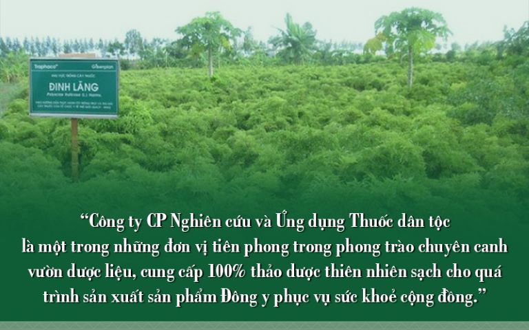 Vườn dược liệu sạch tại Thuốc dân tộc